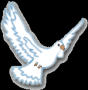 The dove, a symbol of the Holy Spirit (see Matthew 3:16)